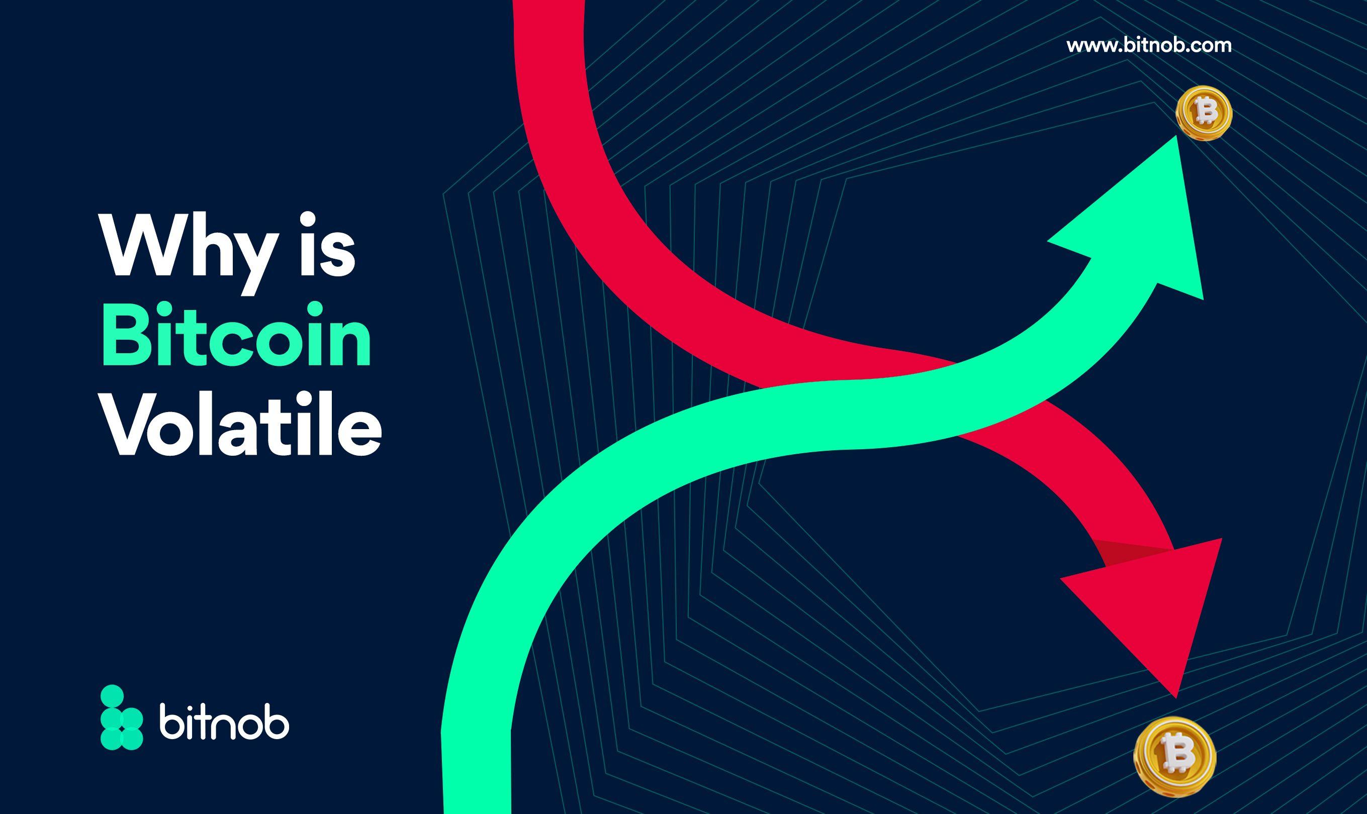 Why Is Bitcoin Volatile?