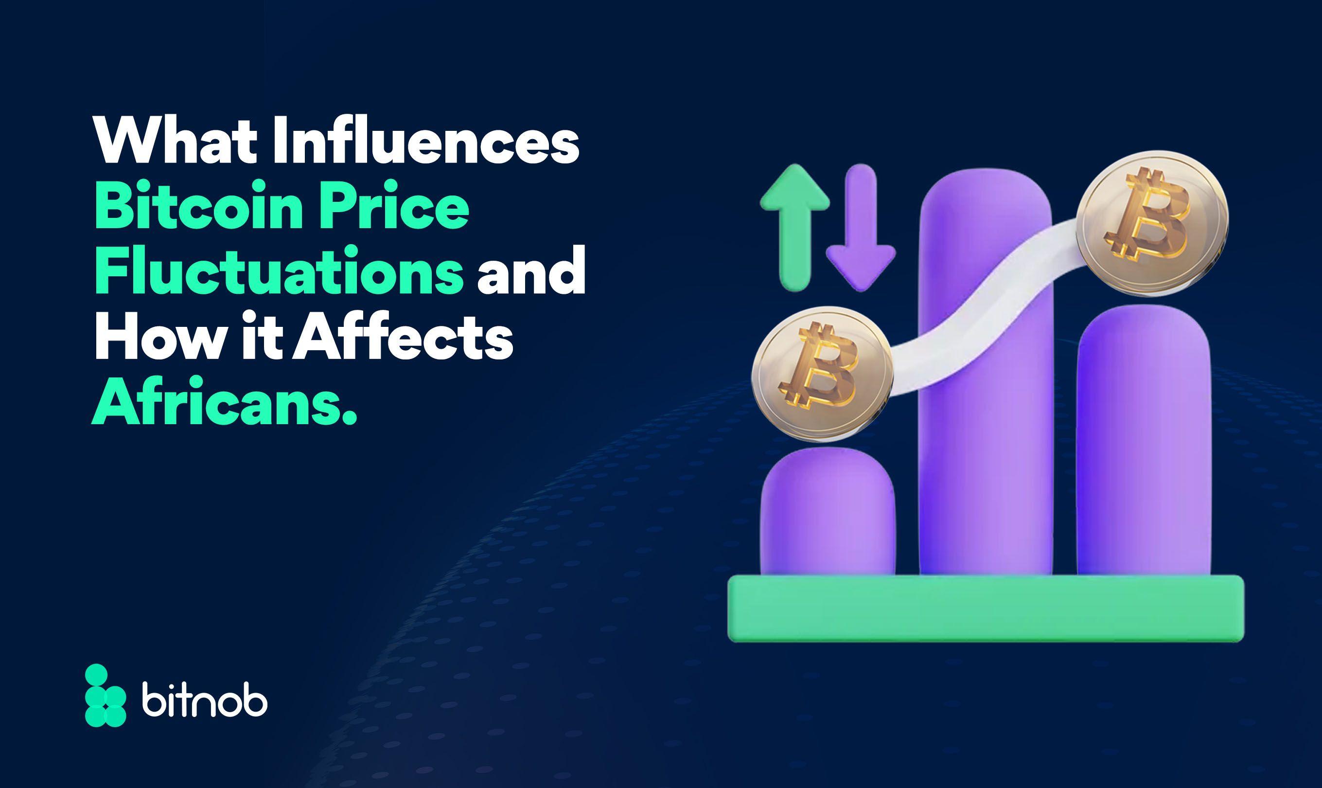 What Influences Bitcoin Price Fluctuations and How It Affects Investors